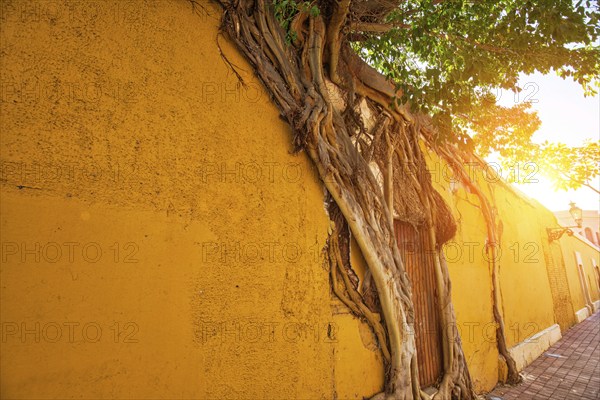 Mexico, Mazatlan, Colorful old city streets in historic city center, Central America