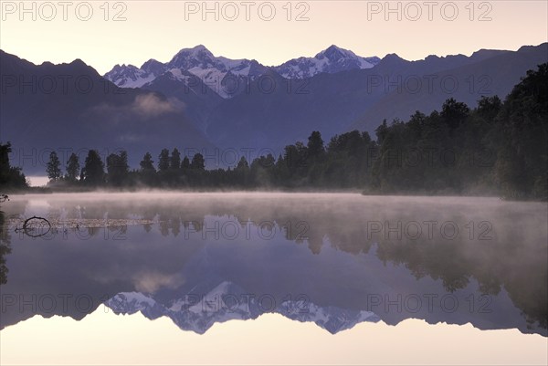 Trees reflected in Lake Matheson, Westland National Park, South West New Zealand World Heritage