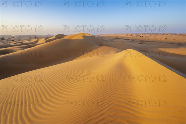 Sand dunes in the desert, near Duqm, Oman, Asia