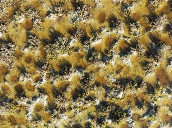 Detail of marshland near Sanlúcar de Barrameda. Aerial view. Drone shot. Cádiz province, Andalusia,