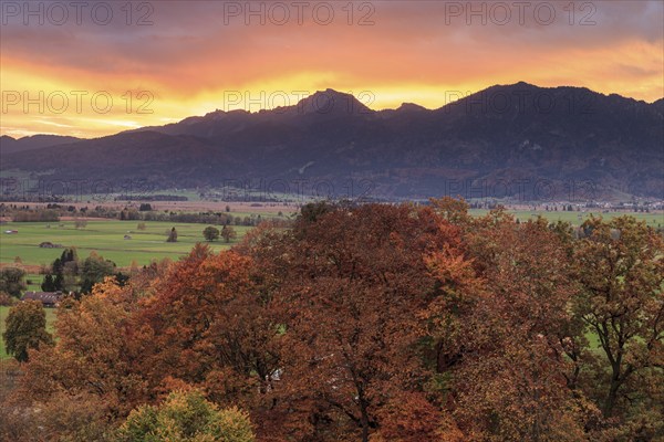 Dawn over mountains and autumn coloured trees, Loisach-Lake Kochel-Moor, behind Benediktenwand,