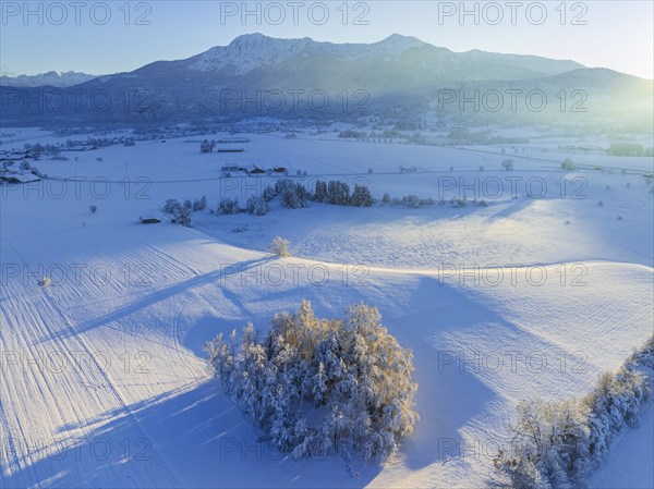 Aerial view of snow-covered trees in front of mountains, winter, evening light, view of Herzogstand