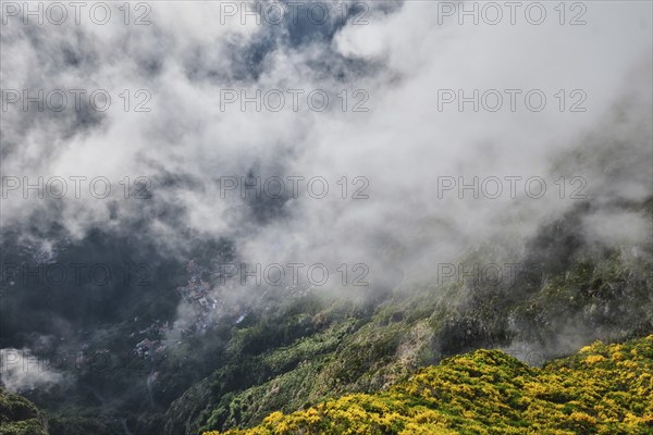 Aerial drone view of Curral das Freiras village from Miradouros do Paredao with blooming yellow
