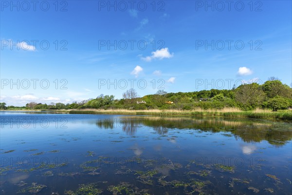 Nyborg, living in the countryside, reed banks, forest, groups of trees, individual houses, idyll,