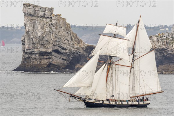 Large traditional sailing boat in a bay on the Atlantic during the Camaret sur mer sailing festival