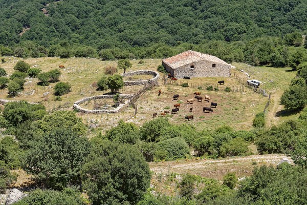 A farm in the Parco delle Madonie nature park. Cefalu, Sicily, Italy, Southern Europe, Europe