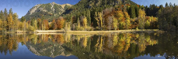 Rubihorn, 1957m, Gaisalphorn, 1953m, and Schattenberg, 1845m, water reflection in the moor pond,