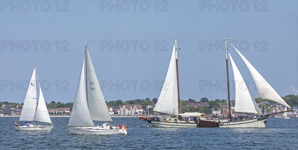 Sailing ship Elegant, sailing boats, Laboe, Kieler Woche, Kiel Fjord, Kiel, Schleswig-Holstein,