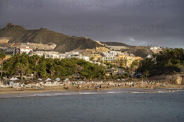 The beach Playa del Duque, Costa Adeje, Tenerife, Canary Islands, Spain, Europe