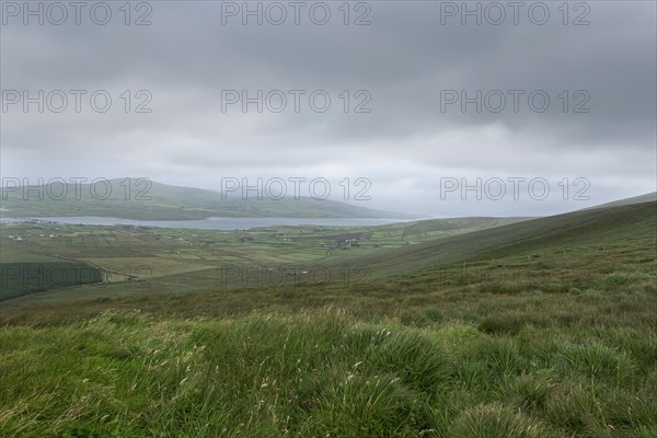 Landscape at Skellig Ring, St Finian's Bay, Skellig Ring, County Kerry, Ireland, Europe
