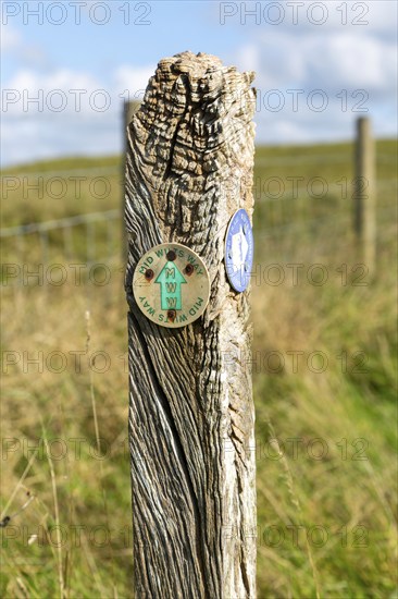 Wooden post sign waymark Mid Wilts Way, White Horse Trail, Martinsell Hill, Wiltshire, England, UK