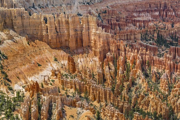 Hoodoos at Brice Point Overlook in Bryce Canyon National Park, Utah