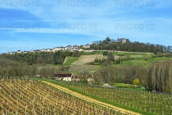 Sancerre labelled Les Plus Beaux Villages de France. View of the village and its vineyard. Cher