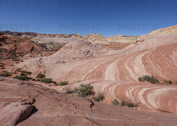 Layered rock formations along the Fire Wave Trail at Valley of Fire State Park near Overton, Nevada