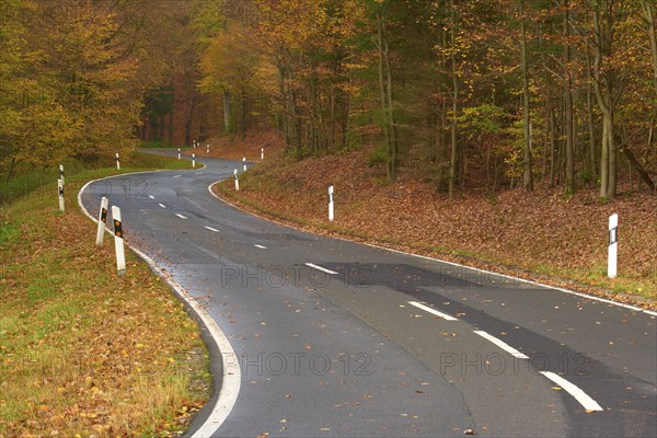 A winding road leads through an autumnal forest, covered with falling leaves, Altenbuch, Miltenberg