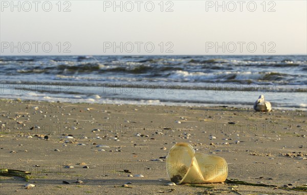 Plastic waste on the beach of the Baltic Sea, September, Germany, Europe