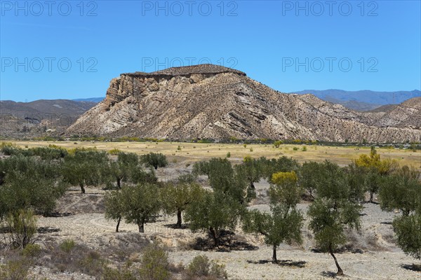 Rocky mountains in an arid landscape with scattered trees under a clear blue sky, Llano de Buho,
