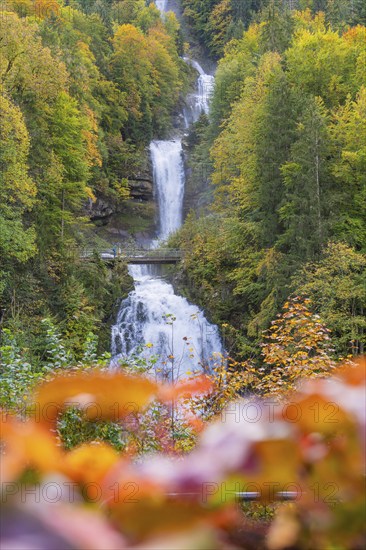 Impressive waterfall, surrounded by an autumnal forest, with bright leaves in the foreground,