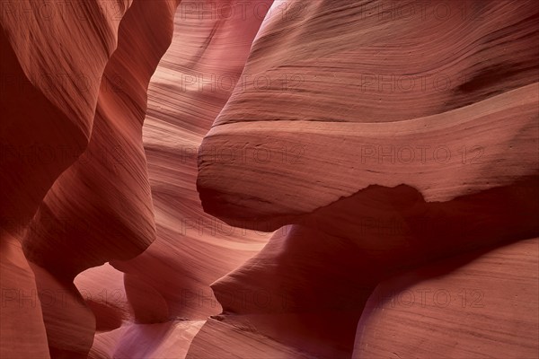 Fascinating sandstone formations in Antelpoe Canyon, showing soft, wave-like structures, Antelope