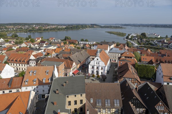 Old town with town hall, Peenestrom in the background, view from the tower of St Peter's Church,