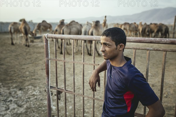 Thamer, son of camel breeder Said Shafari, Salalah camel farm, Dhofar, Oman, Asia