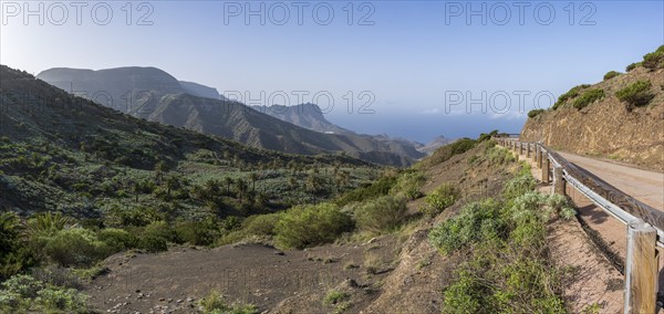 Typical landscape with road, Barranco, La Gomera, Canary Islands, Spain, Europe
