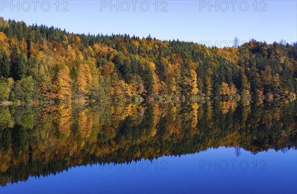 Mountain lake, Colourful autumn forest reflected in the Nussensee, Salzkammergut, Salzburg