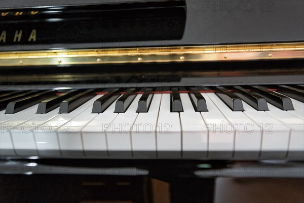 Piano keys, electric piano