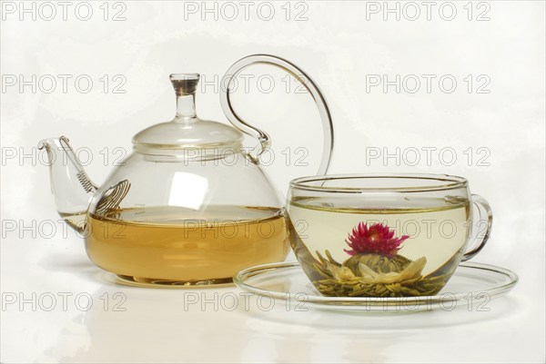 Cup with flower tea, Tea flower 'Petite Princesse', White tea with jasmine and amaranth blossoms,