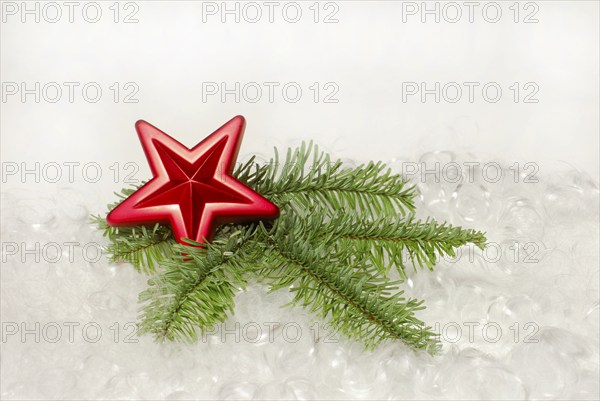 Star on fir branch, Christmas decoration, Christmas tree decorations, fir green