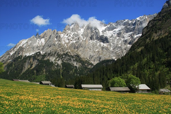 Engelhörner, Rosenlautal, Bernese Oberland, Bern, Switzerland, Europe