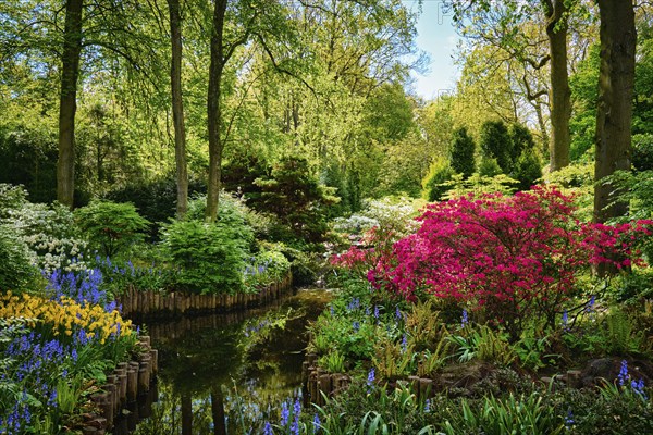 Keukenhof flower garden, also known as the Garden of Europe. One of the world's largest flower