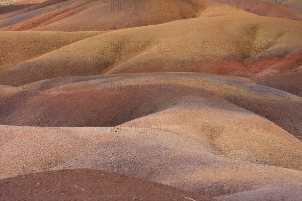 Detail of a landscape with colourful, bright red to orange ground illuminated by the sun, Seven