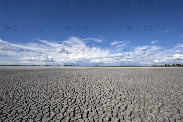 Heavily dried-up Zicksee, Lake Neusiedl-Seewinkel National Park, Burgenland, Austria, Europe