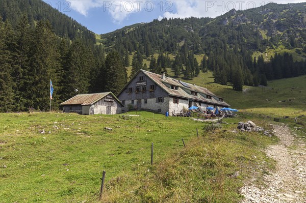 Willersalpe, near Hinterstein, Bad Hindelang, Oberallgäu, Allgäu, Bavaria, Germany, Europe