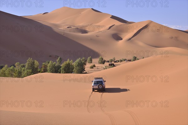 Car driving in the dunes, Great Sand Sea, Sahara, Merzouga, Meknès-Tafilalet region, Morocco,