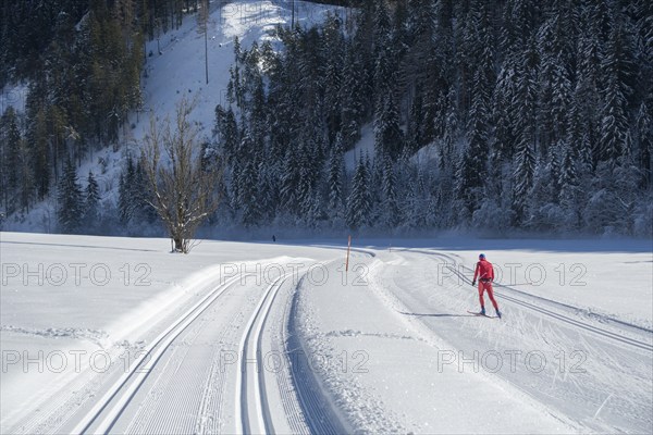 Cross-country skiing circuit alte Mühle, Ramsau am Dachstein, Styria, Austria, Europe