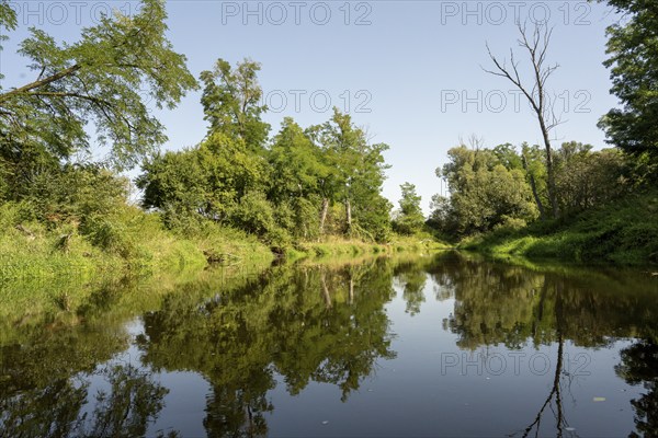 River landscape of the Thaya in late summer, Czech Republic, Europe