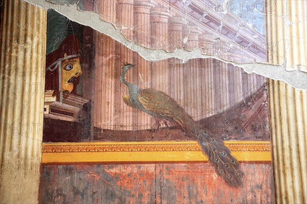 Villa of Poppea, Tragic Mask and Peacock, remains of fresco decoration. Historic town of Oplontis,