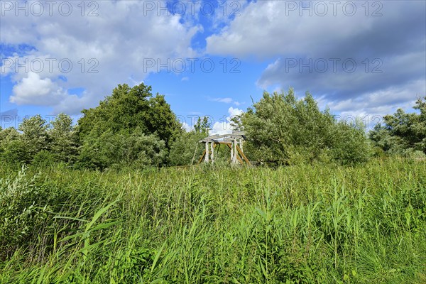 Listed wooden bascule bridge over the Trebel near Nehringen, Mecklenburg-Western Pomerania,