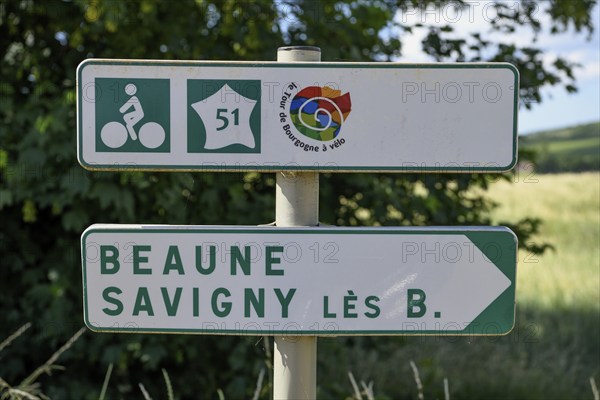Signpost for cyclists on the Route des Grands-Crus, Route of Fine Wines, near Savigny-lès-Beaune,