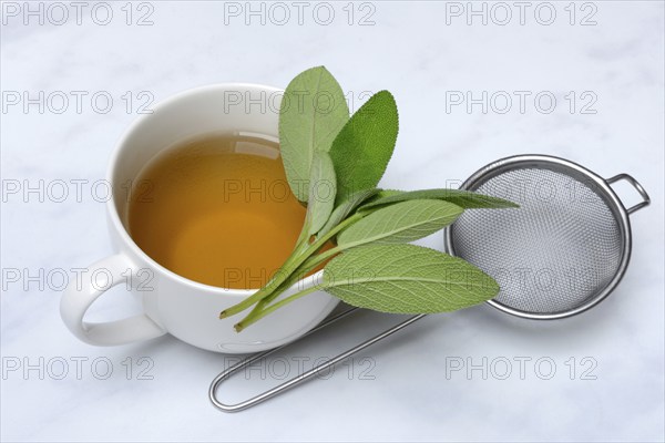 Sage tea in a cup and sage leaves (Salvia officinalis)