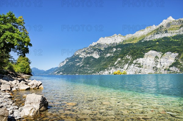 View from the shore of Lake Walen of the small chive island in the middle of the turquoise water at
