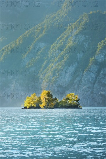 Small chive island in the turquoise waters of Lake Walen, Canton St. Gallen, Switzerland, Europe