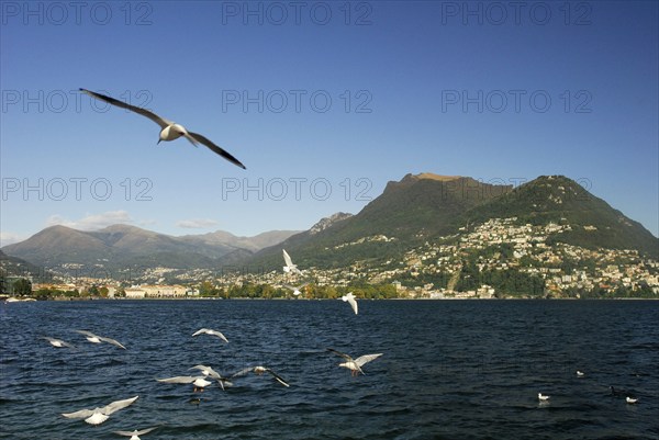 Lake Lugano, Lago di, Monte Bre Mountain, Lugano, Ticino, Switzerland, Europe