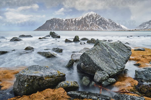 Rocky coast of fjord of Norwegian sea in winter with snow. Skagsanden beach, Lofoten islands,