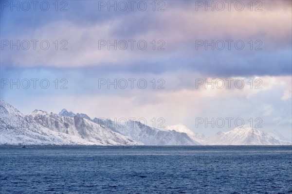 Norwegian fjord on sunrise. Lofoten islands, Norway, Europe