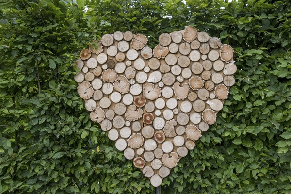 Heart made of small wooden discs, Münsterland, North Rhine-Westphalia, Germany, Europe