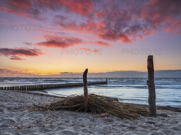 Sunset on the beach of the Baltic Sea with groyne, driftwood and washed-up reeds, Graal-Müritz,