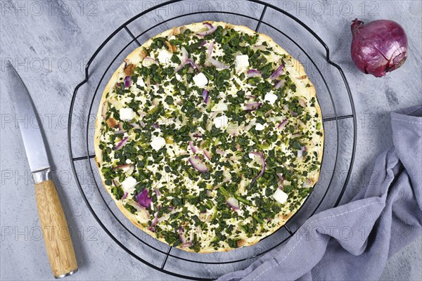 Flammkuche or Tarte Flambee, a thin pizza-like baked pie from German-French Alsace border region,